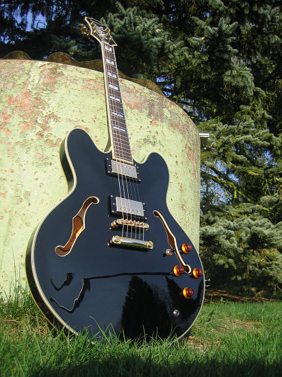 Epiphone Sheraton II